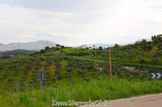 Masía en N/a. Finca rúst. en venta en olvera.