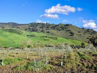Bauernhof  N/a. Finca rúst. en venta en olvera.