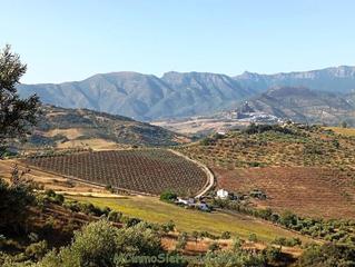 Mas  Cabeza de los ajos. Finca rúst. en venta en dehesa vieja.