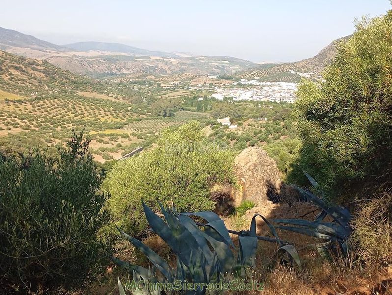 Foto 9fae29b8-7db4-4864-af5f-ceddfbfaa02d. Masia a Algodonales