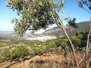 Casale  Cabeza de los ajos. Finca rúst. en venta en dehesa vieja.
