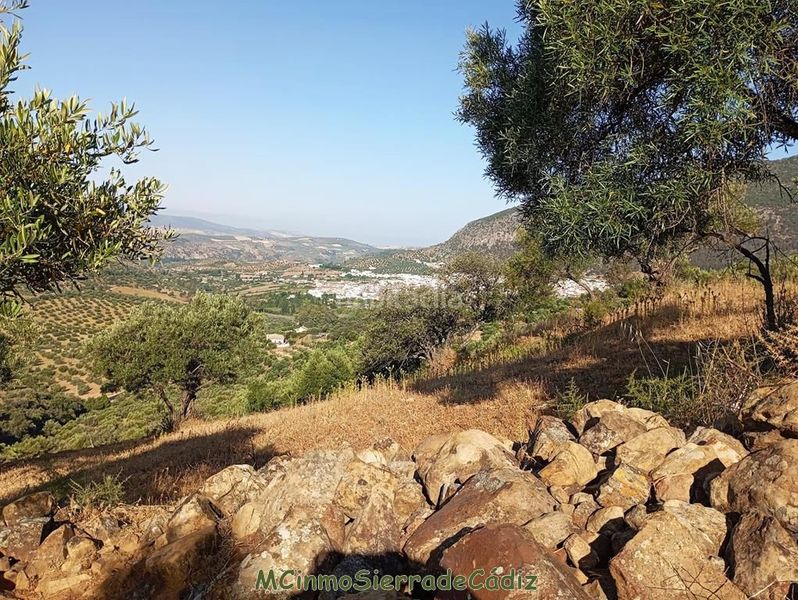 Foto de0f509a-cfff-4473-b086-01afeba831b6. Masia a Algodonales