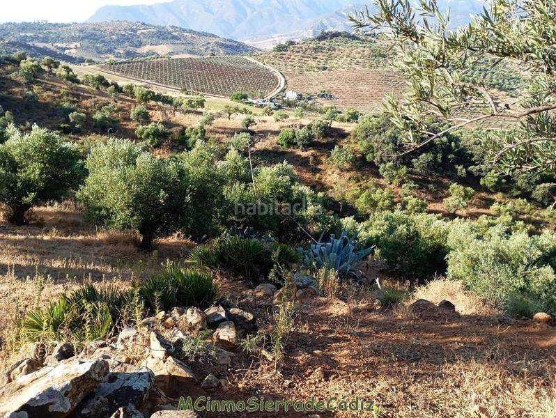 Foto e11f6855-408e-4c99-b68f-b0e50f38573f. Masia a Algodonales