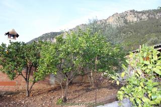 Maison à San jose 91. Casa en venta en algodonales, 4 dormitorios.