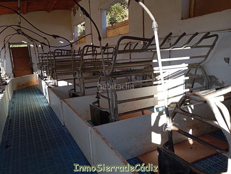 Foto 1b84c731-eb62-4b5d-a2d8-77ada0964668. Mas dans Olvera