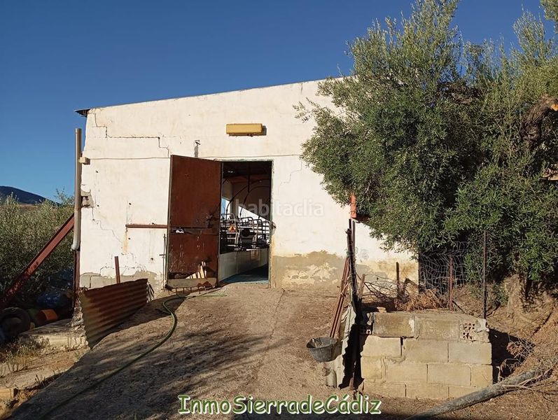 Foto 605e254c-37a0-4d8c-b580-6d5e24e83bce. Mas dans Olvera