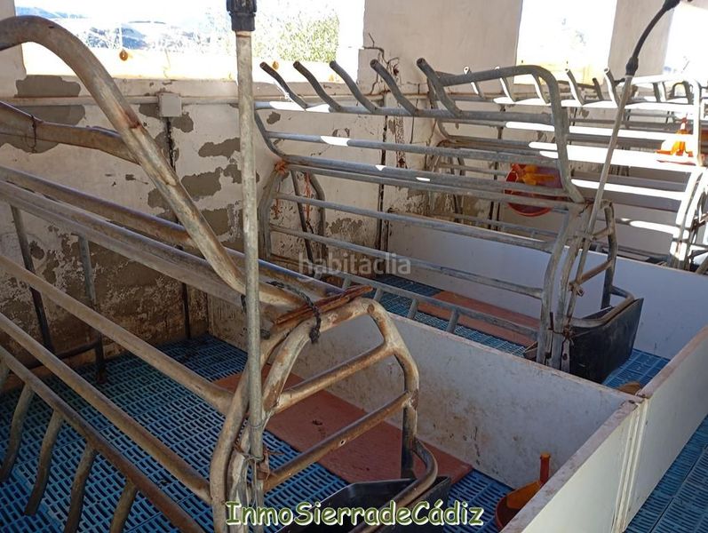 Foto 708d9207-fe74-4dfe-8887-eac61364535c. Mas dans Olvera