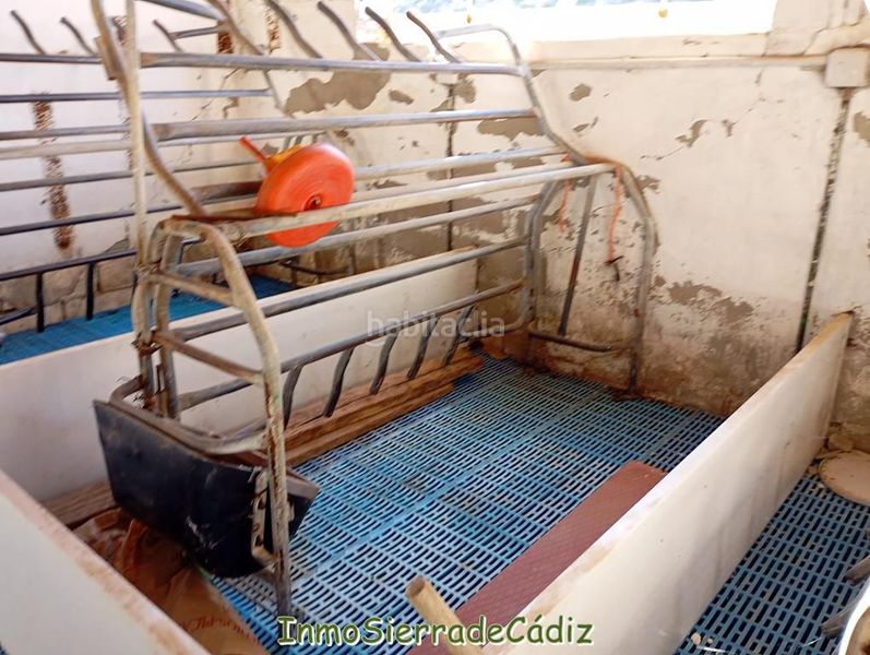 Foto bf0fa050-c6d8-43c0-b1a4-cd1bef4ab406. Mas dans Olvera