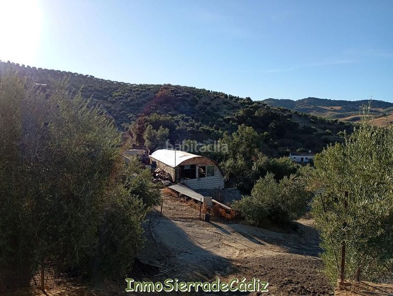 Foto dc0d3f2d-25a6-41e7-a0e7-e03cd610c69b. Mas dans Olvera