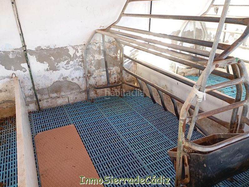 Foto f3491457-aef2-4e27-90ee-b7e6c2c07ff7. Mas dans Olvera