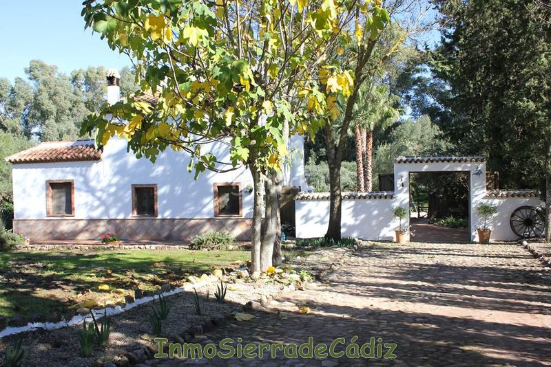 Foto 491aa9a2-e5f7-403d-8d20-189409d643f6. Masia amb calefacció aparcament piscina a Algodonales