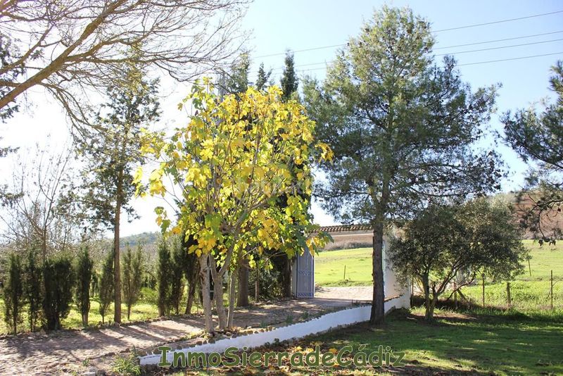 Foto 72d9d4dd-7453-4245-84be-b11629e6f7fe. Masia amb calefacció aparcament piscina a Algodonales
