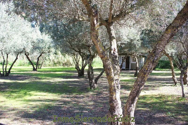 Foto b47313a9-993a-46fd-81c7-2ba69beedd98. Masia amb calefacció aparcament piscina a Algodonales