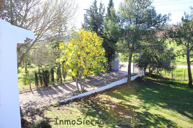 Foto f75655f9-8a33-44c1-9aad-5e4e63b5d071. Masia amb calefacció aparcament piscina a Algodonales