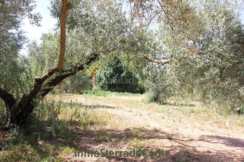 Foto 17c2defb-a0ed-4e7f-b4a1-12ec45400202. Masia a Algodonales