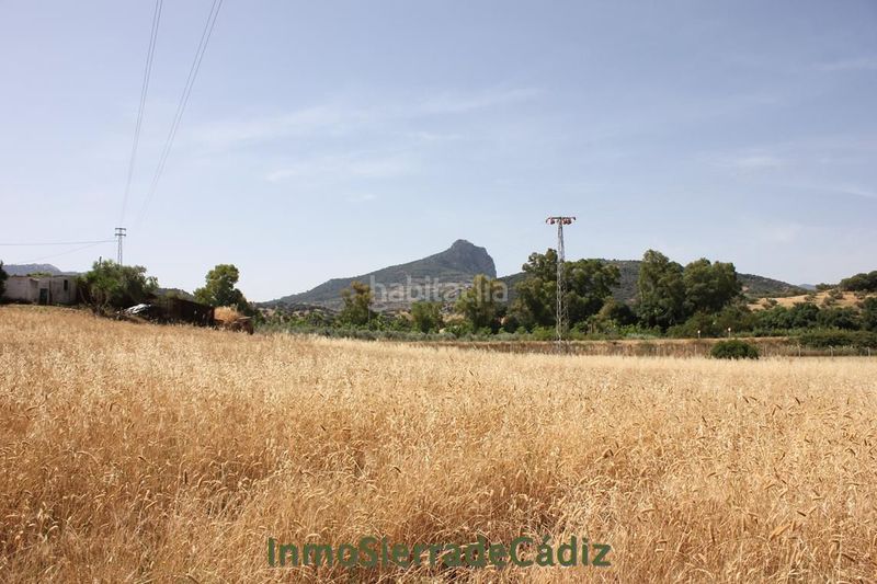 Foto 1b8154f5-7345-4302-a54e-ae385cedf767. Masia a Algodonales