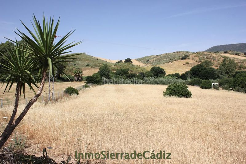 Foto 2e644746-0e45-4767-b047-ed07d36fb1a0. Masia a Algodonales