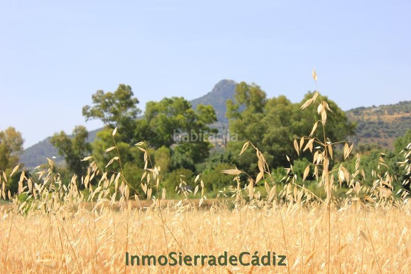 Foto 39e482cc-0e16-4cb6-9d7a-d8759d70855f. Masia a Algodonales