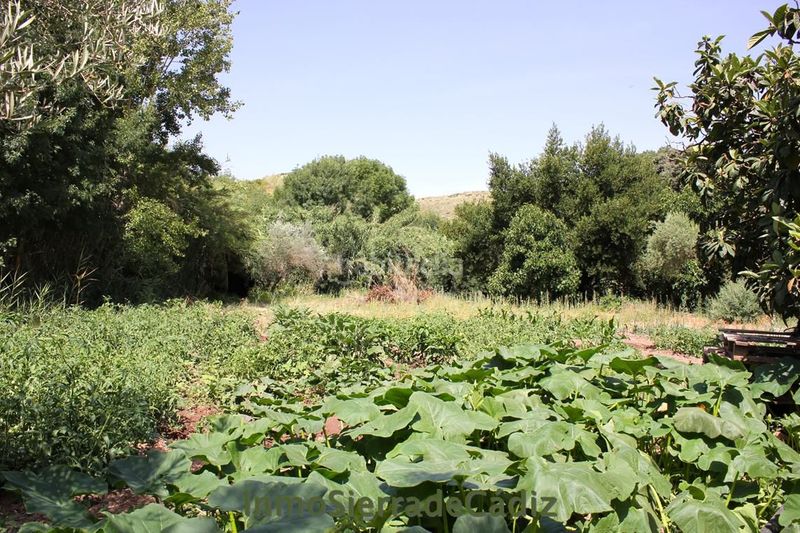 Foto 3ef9304f-15b0-4a1c-82d1-44d519bdec24. Masia a Algodonales