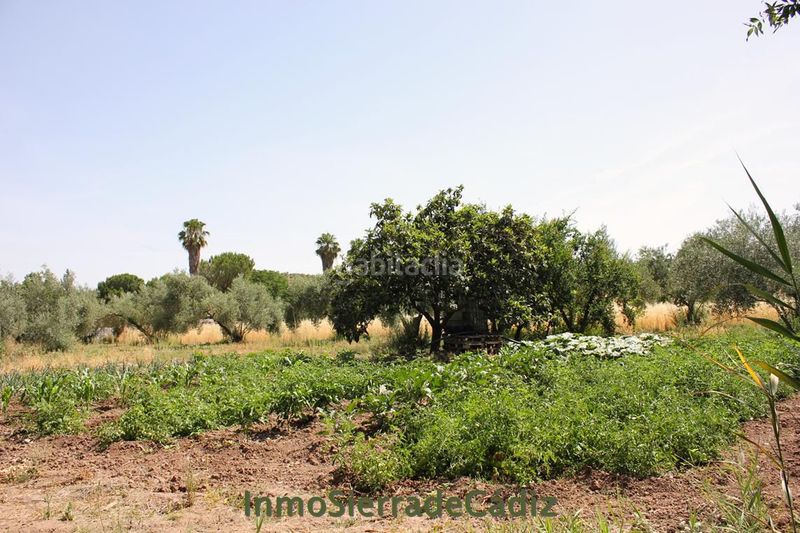 Foto 41b8f520-61f7-4411-8421-b396197bf61f. Masia a Algodonales