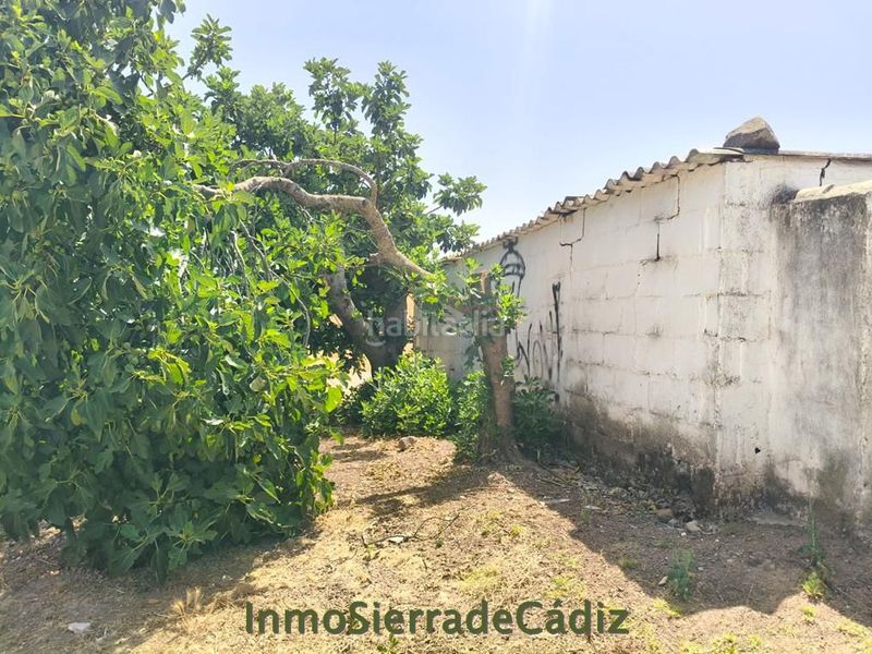 Foto 53e4bc95-da0c-46ec-9ab2-bc659167fc22. Masia a Algodonales