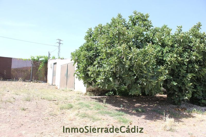Foto 5fec5100-d7ab-41e5-a94b-05f536339e3a. Masia a Algodonales
