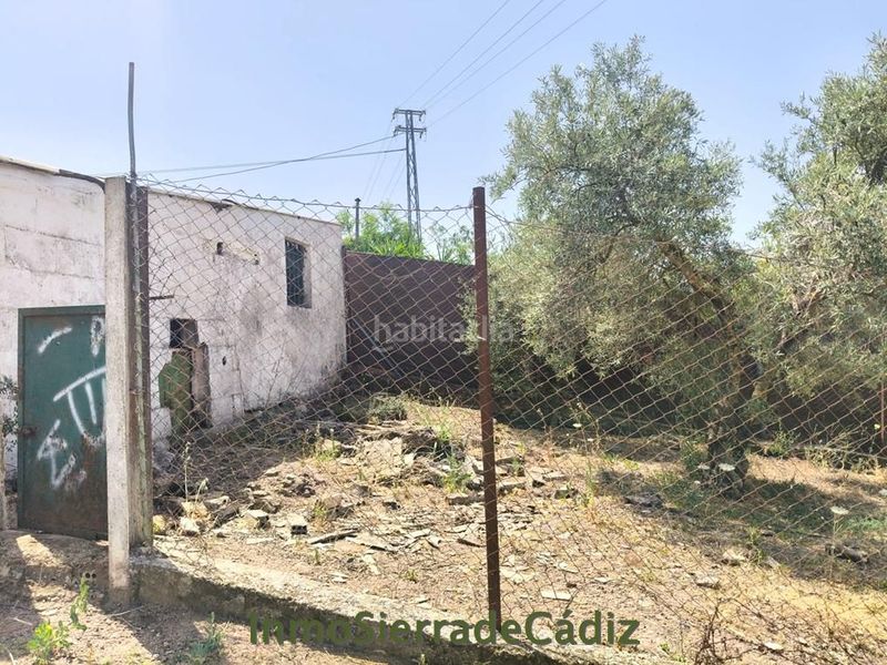 Foto 6591fe1f-9ee2-4bfd-a564-1a0ba1c7bc8f. Masia a Algodonales