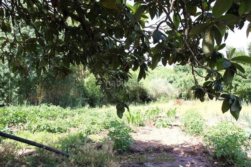 Foto 7a9304dc-c0b2-4562-9323-e4aa1c0a3f65. Masia a Algodonales
