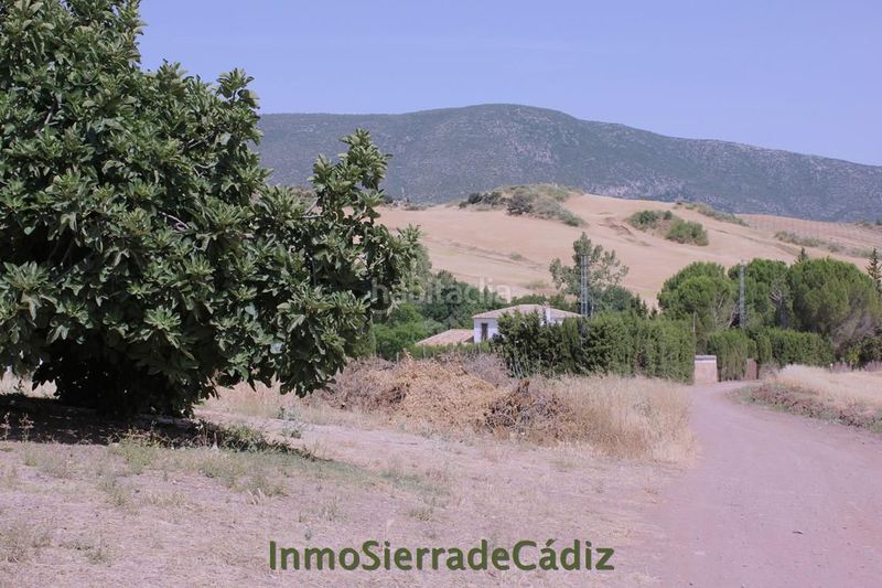Foto 8163a643-fda3-4093-bb91-9e70c9f4be92. Masia a Algodonales