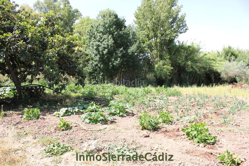 Foto 81b8a395-6af6-4cff-883e-b9397db70d9d. Masia a Algodonales