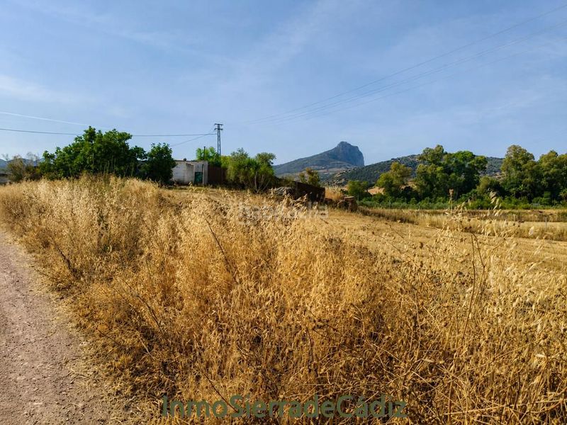 Foto 8d2eea2b-12dc-4b80-b2cc-d81742f9f0ee. Masia a Algodonales