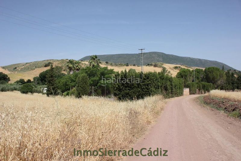 Foto 924b149a-4a0a-4340-9246-83bff75d2664. Masia a Algodonales