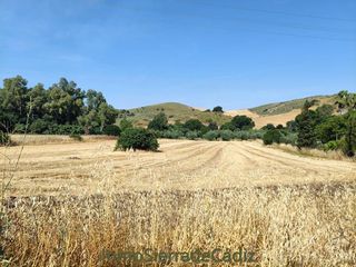 Bauernhof in Algodonales. Finca rúst. en venta en algodonales.