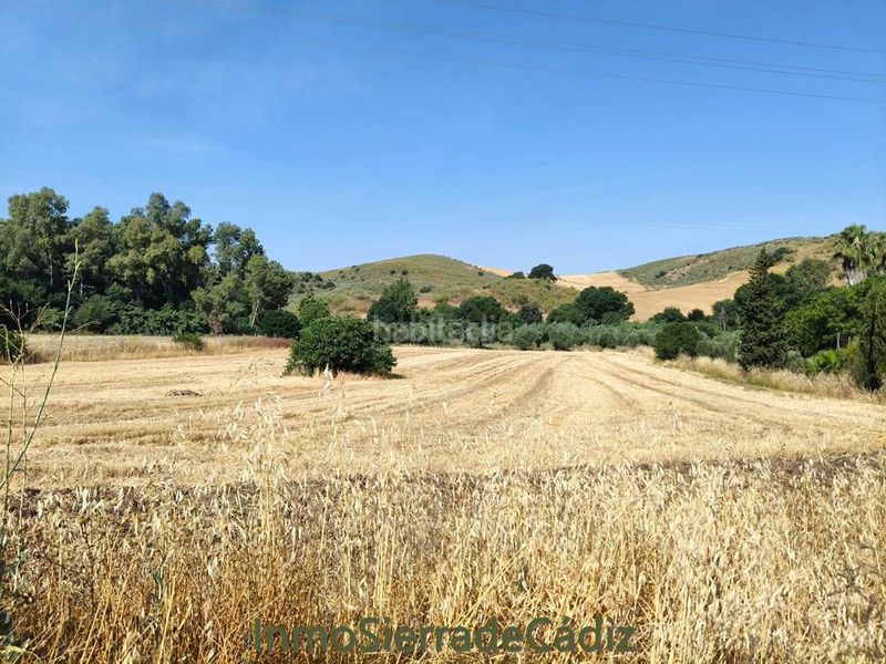 Foto aea94d22-70ec-4590-b686-a91d4da4be3d. Masia a Algodonales