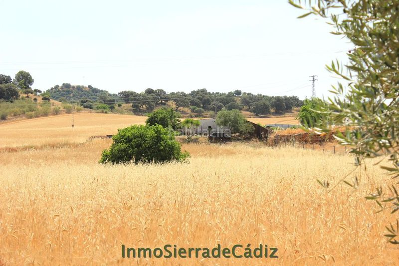 Foto ea8d0128-86cf-4745-8c27-fd36e2f16250. Masia a Algodonales