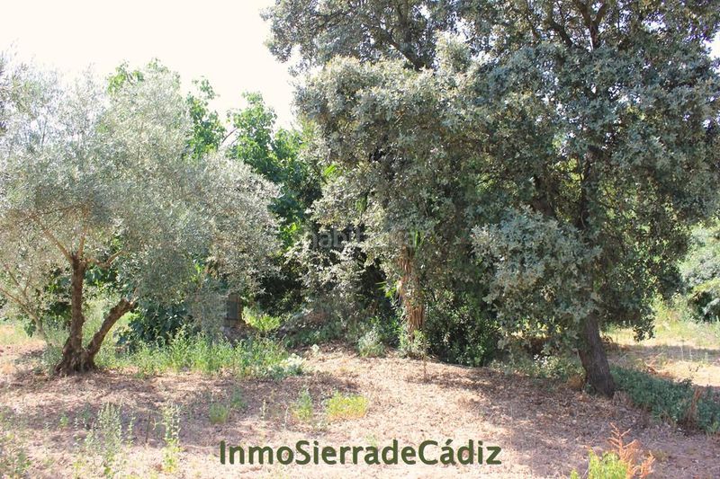 Foto fe50b686-4cc6-4705-9c0a-8ae9fb4ff37a. Masia a Algodonales