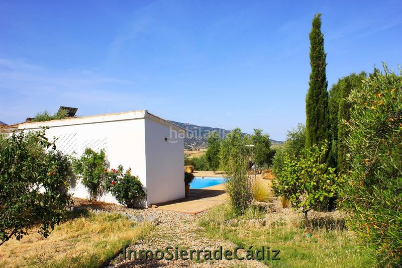 Foto 786ab0fe-c718-4795-932a-ad916974c34a. Masia amb aparcament piscina a Algodonales