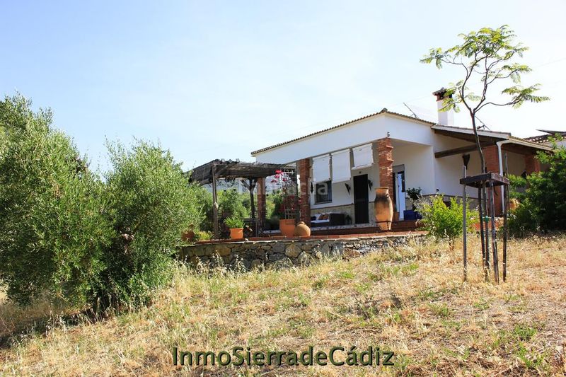 Foto 9252a950-8cbb-4222-b6a8-1c21460ad5a2. Masia amb aparcament piscina a Algodonales