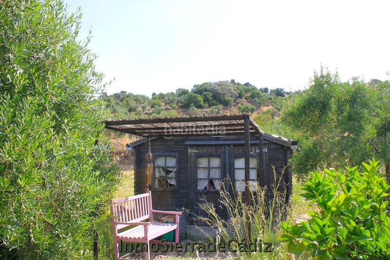 Foto acaf6071-0bd8-485a-bf0c-ee8ee1484ae4. Masia amb aparcament piscina a Algodonales