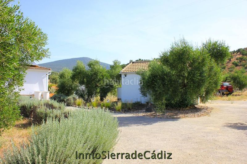 Foto da0b820e-692e-4cf3-ac94-b3bd0552de34. Masia amb aparcament piscina a Algodonales