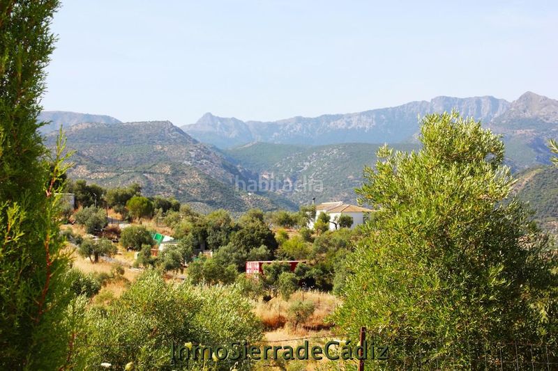 Foto feffae4b-ca41-472a-bac6-4d9e685c38cd. Masia amb aparcament piscina a Algodonales