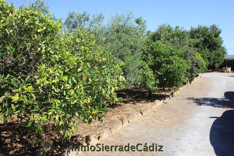 Foto bd8396cc-f581-4bc4-bcf4-ea21bcddabfe. Masia amb calefacció piscina a Pedanías Sur Utrera