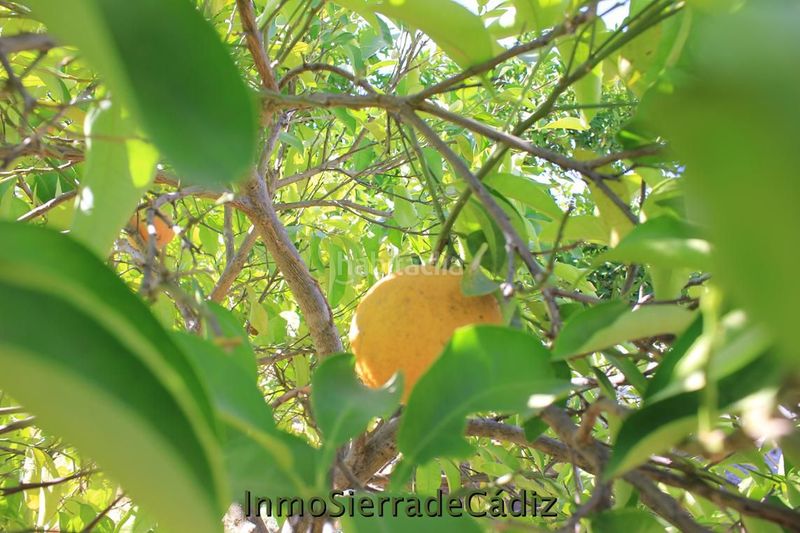 Foto c1364a62-2807-440a-a07e-62f0a2026f9c. Masia amb calefacció piscina a Pedanías Sur Utrera