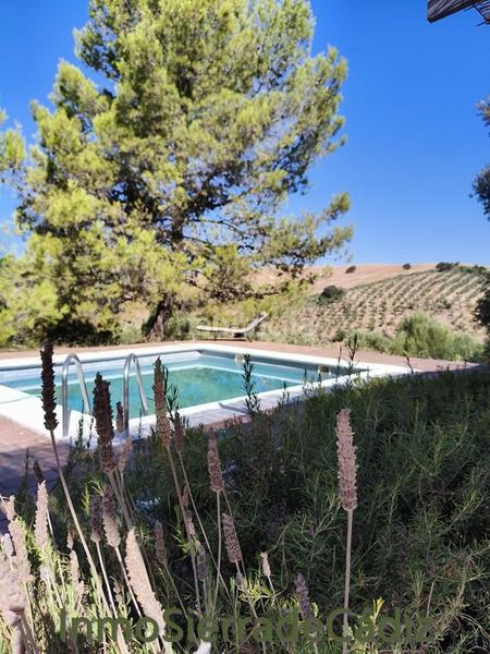 Foto 96c12026-cad4-4e47-bcfe-e315b2cbabce. Masia amb aparcament piscina a Zahara
