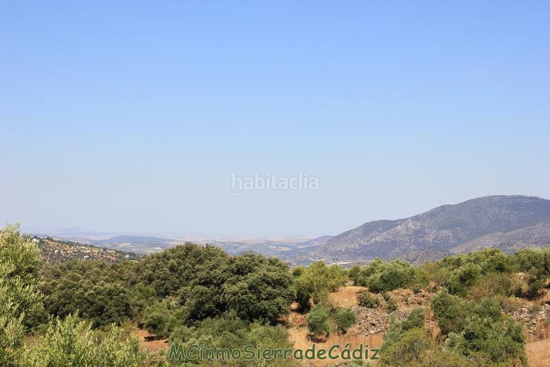 Foto 15068629-1f34-405f-a437-22dd6518e3ab. Masia a Montecorto