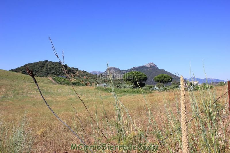Foto 1aab861a-ba38-4974-b010-054becf3566d. Masia a Montecorto