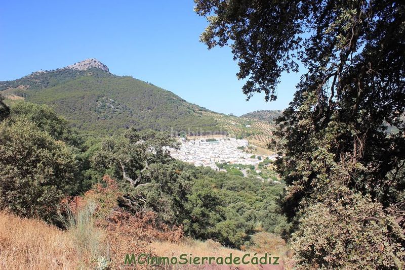 Foto 34ae9f13-c22d-47d7-a26d-f929711d69cb. Masia a Montecorto