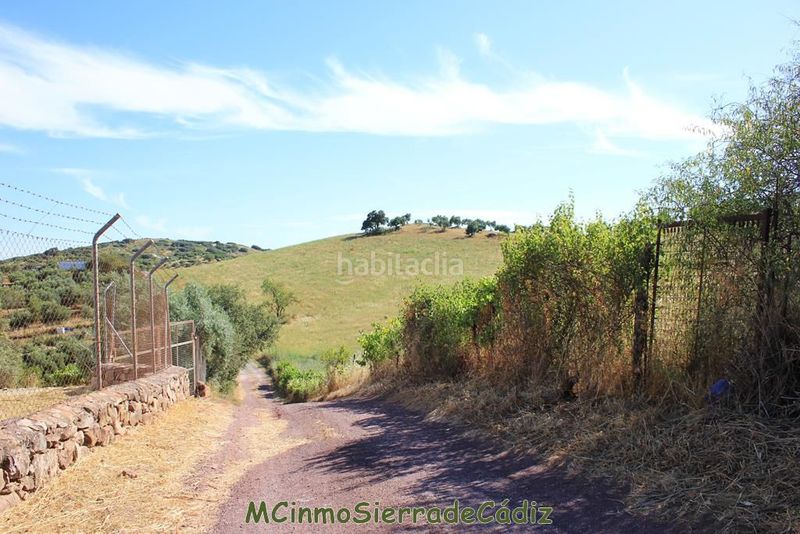 Foto 3e122866-5bcd-4de9-bbf0-e7f51ae83420. Masia a Montecorto