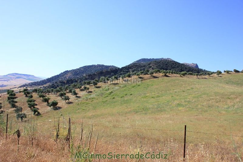 Foto 46b53fe8-b128-4fbd-903d-77887a747509. Masia a Montecorto