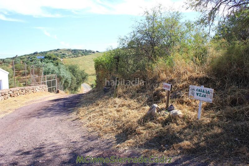 Foto 66a3f6ae-9bd2-4c1d-8f29-8802d987d23a. Masia a Montecorto